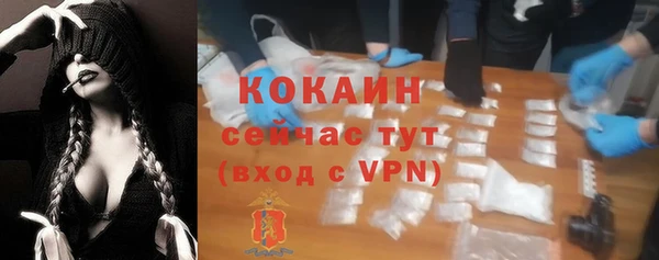 твердый Верхний Тагил