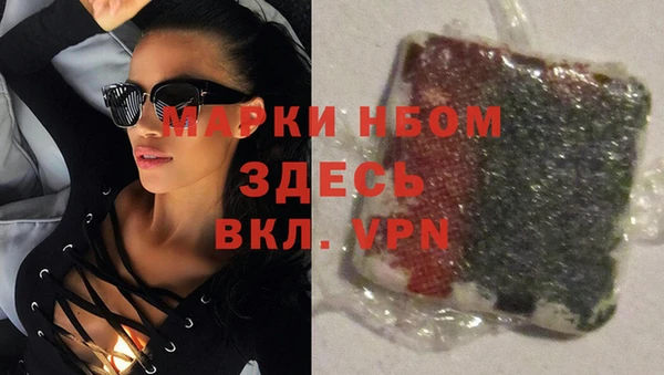 ГАЛЛЮЦИНОГЕННЫЕ ГРИБЫ Сосновка