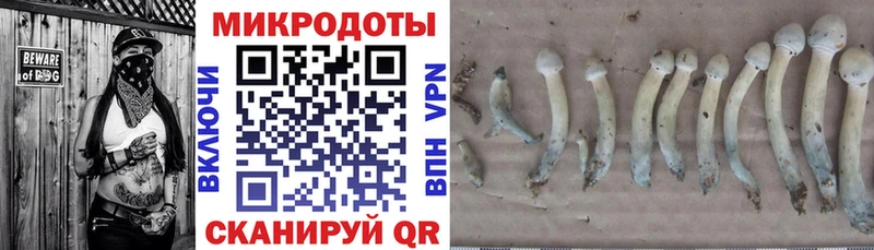 дарнет шоп  Мариинск  мориарти наркотические препараты  Псилоцибиновые грибы Cubensis 