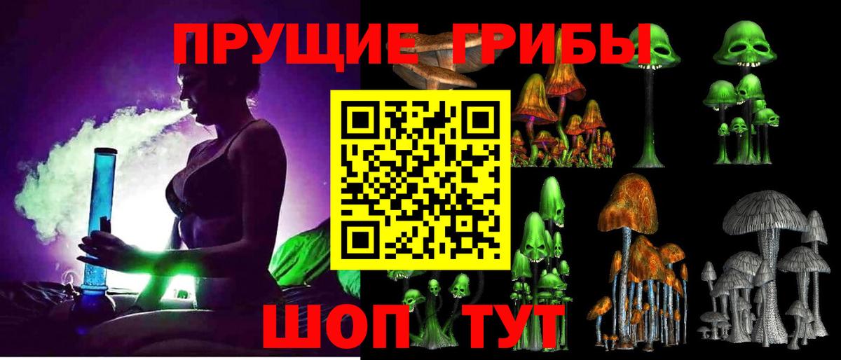 Псилоцибиновые грибы мицелий Мариинск