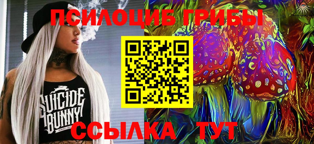 Галлюциногенные грибы Мариинск