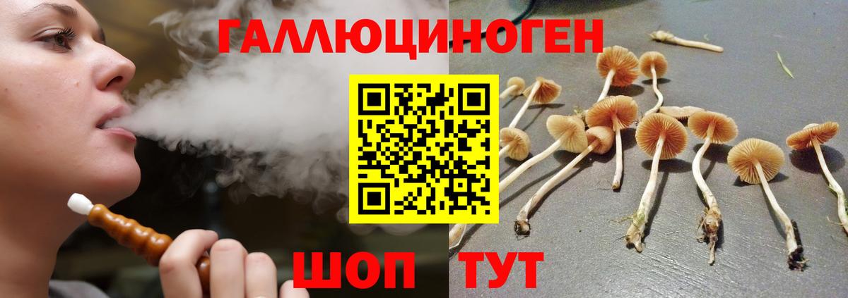 Псилоцибиновые грибы мухоморы  цена наркотик  Галлюциногенные грибы Cubensis  Мариинск 